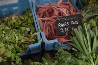 Tendance (Marché Bio)