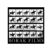 Borak Films